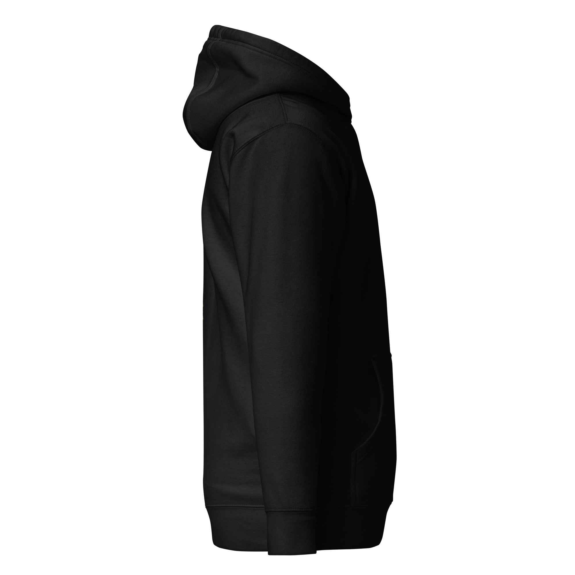 Black Unisex Hoodie from Leaky TS featuring the "Another day another disappointment" design on a cotton heritage pullover.