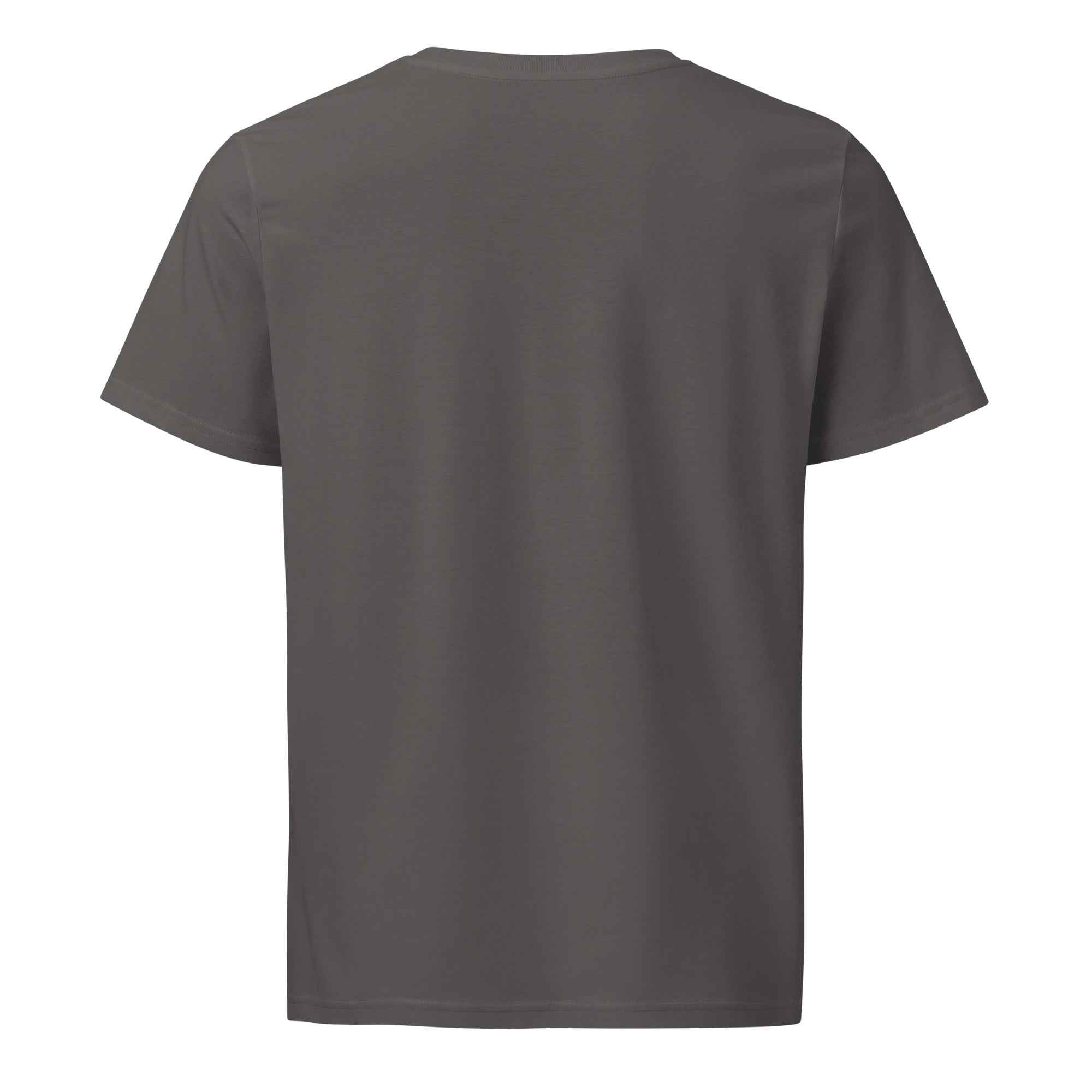 Unisex organic mid-light anthracite t-shirt with "Stay Trippy #2" print by Leaky TS, shown from the back.